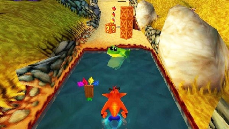 Crash Bandicoot 3: Warped (1998), the protagonist bandicoot in standing in a puddle in front of a frog.