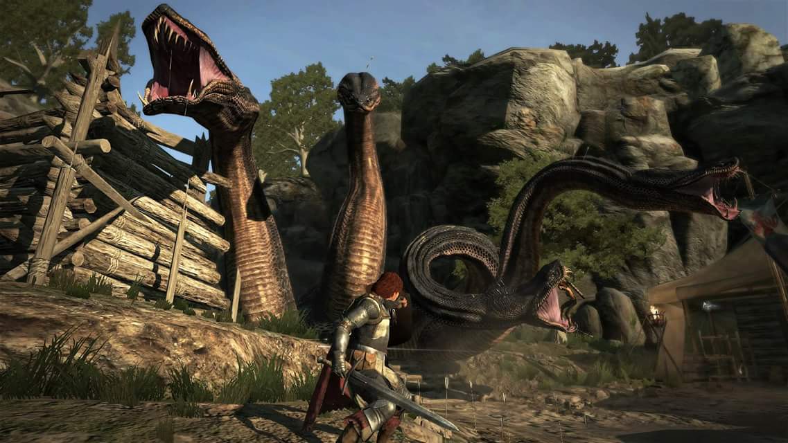 Protagonist of Dragon's Dogma: Dark Arisen facing against a massive four-headed snake.