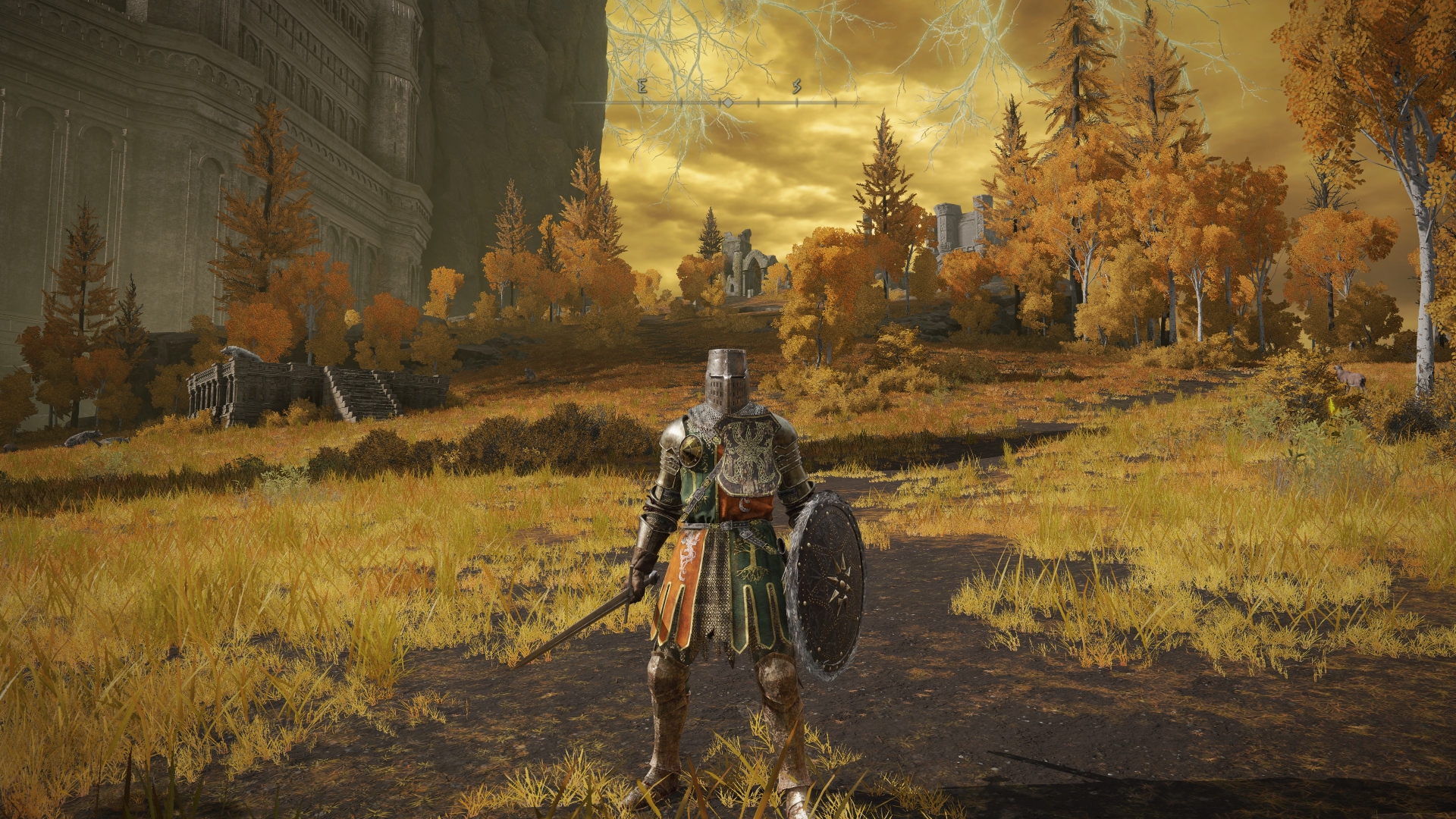 A knight wearing Solaire-like armor stands in the golden fields of Elden Ring.