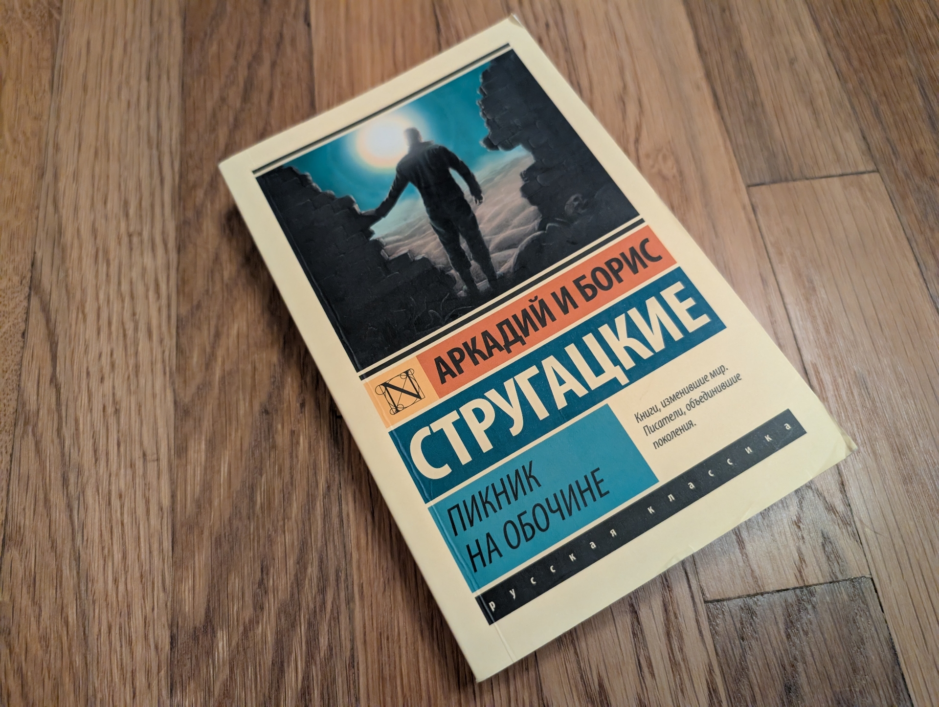 A softcover book, cover reads Arkady and Boris Strugatsky: Roadside Picnic (in Russian). Photo by author.